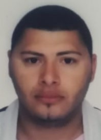 Ari Medeiros Pereira