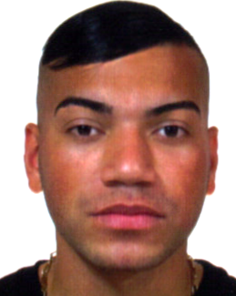 Brian Micael Santos Monteiro