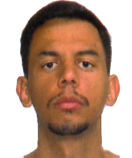 Luis Gustavo Novak da Silva