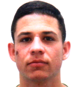 Henrique Matheus dos Santos Dias