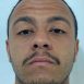 Luis Guilherme Alves Domingos