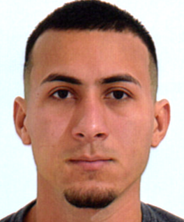 Renato Freitas de Araujo