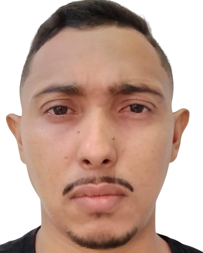 Francisco Pedro Araujo Rodrigues