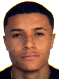 Gustavo Alves de Moura Pinheiro