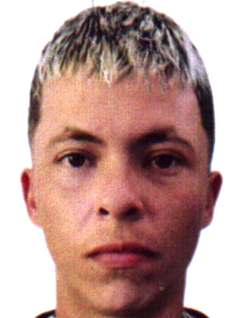 Viviane Machado dos Santos