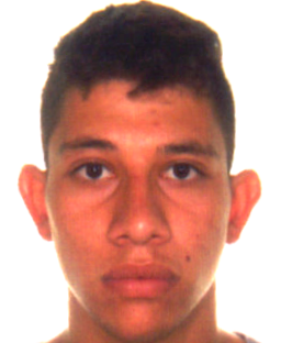 Willian Pelosi Pavan