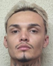 Matheus Vasconcelos Dias Ribeiro