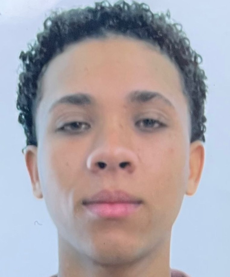 Luiz Walysson Ribeiro Santos