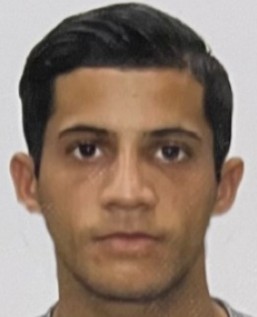 Mauricio Barbosa de Almeida