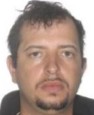 Bruno Henrique dos Santos Sales
