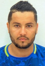 Hércio Ferreira Borges Neto