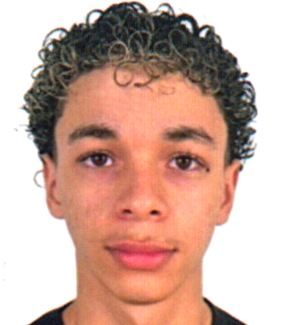 David Castro Gomes