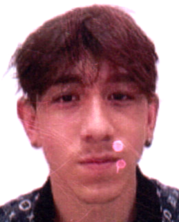 Vinicius de Lima Rodrigues