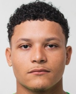 Wedson Ferraz Mota